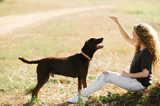 dog training with treats